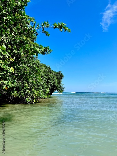 Fototapeta Naklejka Na Ścianę i Meble -  tree on the beautiful ocean beach and blue sky in the tropical
