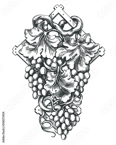 grape vine, grape, hand drawn vector illustration realistic sketch