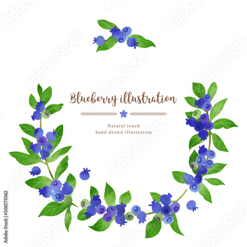 ナチュラルなタッチのブルーベリーのイラスト/サークル