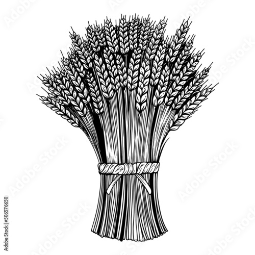 Illustration of sheaf of wheat in engraving style. Design element for emblem, sign, poster, package design. Vector illustration
