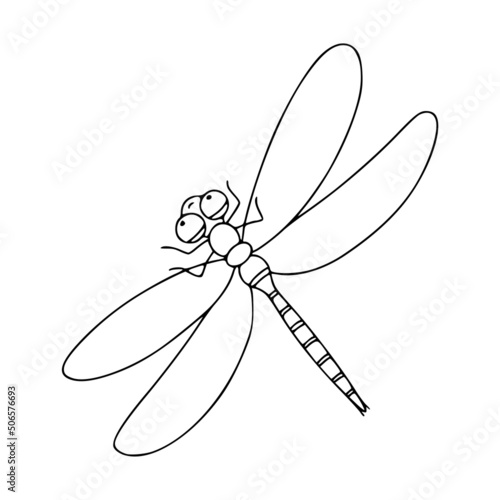 Insect dragonfly linear icon. Vector black and white illustration isolated on white background