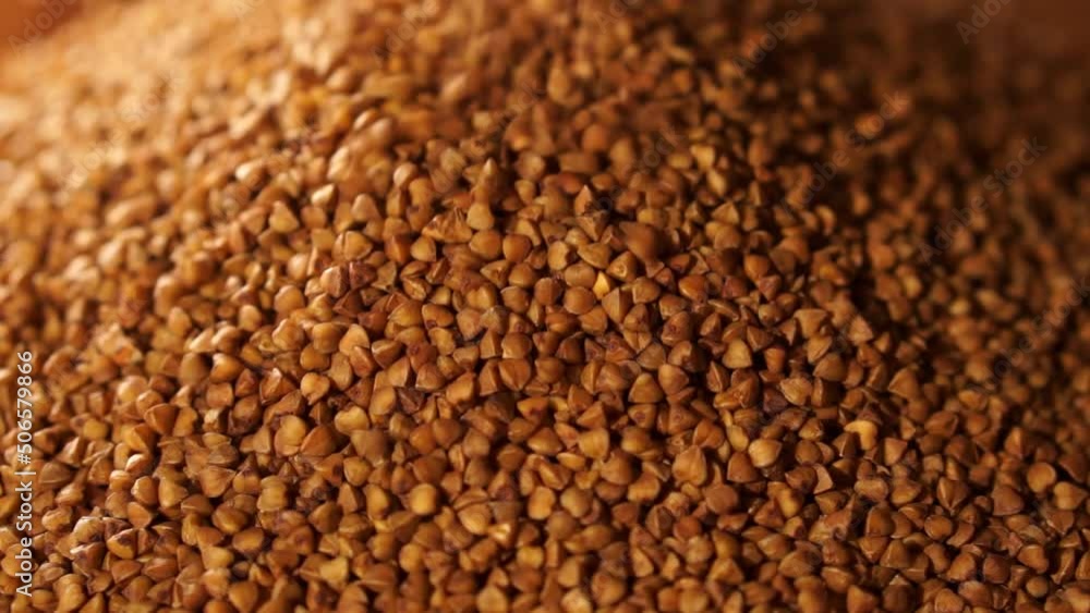 Buckwheat close-up. Raw buckwheat. Healthy organic food diet concept. gluten free ancient grain for healthy diet, selective focus. Cultivation of safe and healthy food ingredients. Buckwheat close-up. Raw buckwheat. Healthy organic food diet concept. gluten free ancient grain for healthy diet, selective focus. Cultivation of safe and healthy food ingredients.