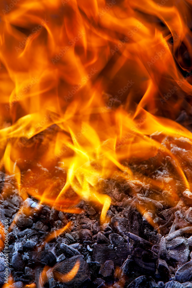 orange flame of fire while burning branches and firewood orange flame of fire while burning branches and firewood