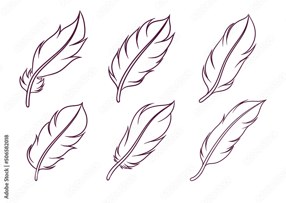 set of hand drawn feather illustration set of hand drawn feather illustration