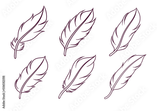 set of hand drawn feather illustration