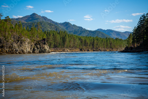 The Altay landscape with mountain river Katun and green rocks at spring time, Siberia, Altai Republic