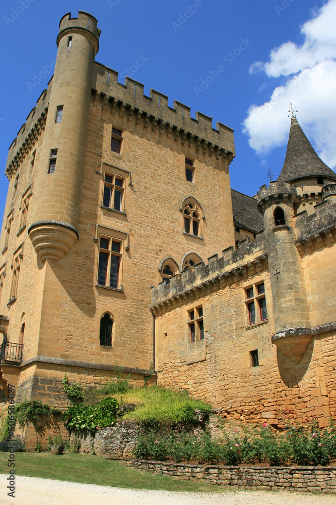 medieval castle in marquay (france) 