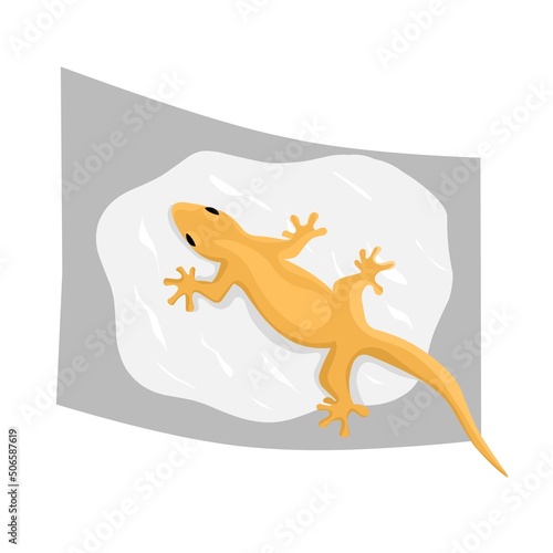 Vector illustration of a lizard. The lizard sticks to the glue. Traps to eradicate house lizards. Great for pictures of lizard repellent products.