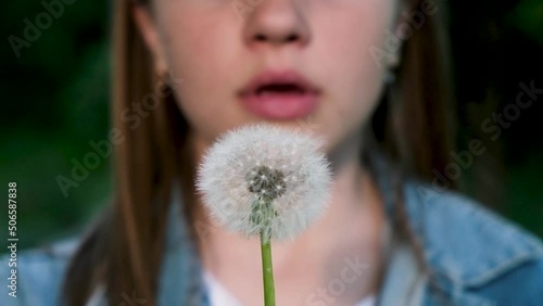 Girl blowing on a ripe dandelion in the evening at sunset, slow motion video.