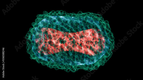 Monkeypox virus, illustration photo