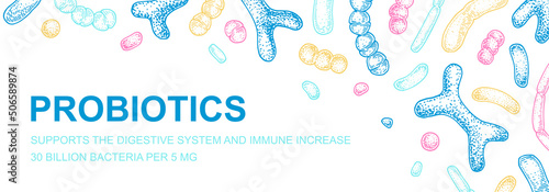 Hand drawn probiotics design for packaging and branding. Vector illustration in sketch style. Microscopic bacteria close-up. Biology background