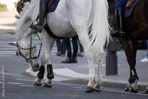 Garde républicaine à cheval patrouillant dans les rues de Paris