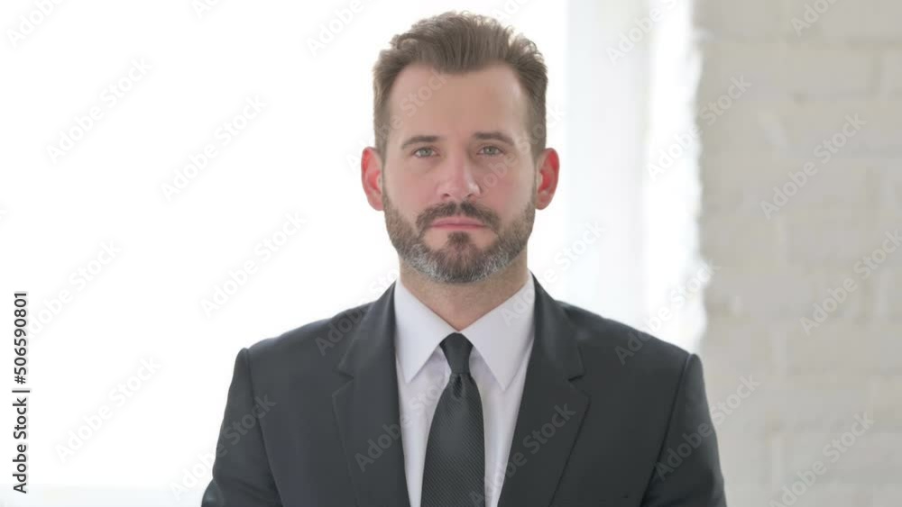 Serious Middle Aged Businessman Looking at the Camera Serious Middle Aged Businessman Looking at the Camera