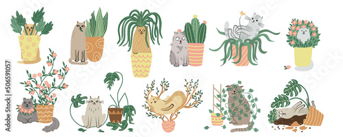 Cats and houseplants set. Hand drawn flat vector illustration isolated on white. Funny  animal characters and house plants. Potted plants and pets.