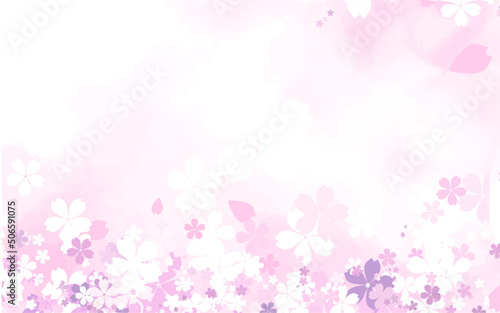 Sakura background. Cherry blossoms vector. Spring background. Sakura flowers vector © Azhelic
