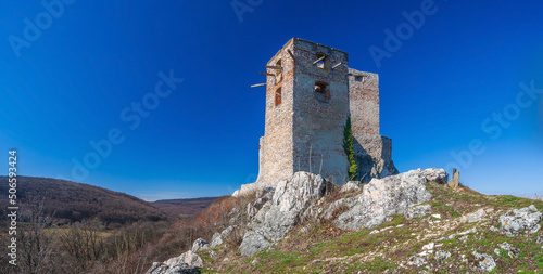 The Medieval Castle of Csesznek in Bakony Forest, Hungary photo