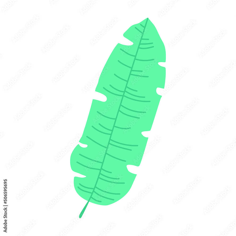 tropical leave palm green nature isolated icon vector illustration design tropical leave palm green nature isolated icon vector illustration design
