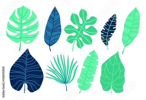 Tropical green leaves, branches set isolated on white background. Handwritten font hello summer