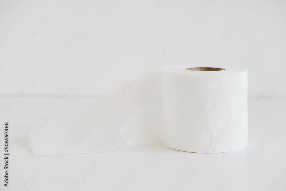 Roll of white toilet paper on a white background Roll of white toilet paper on a white background