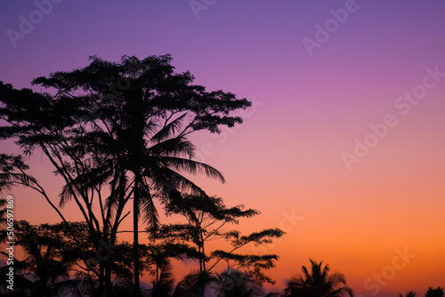 Beautiful sunset in jungles