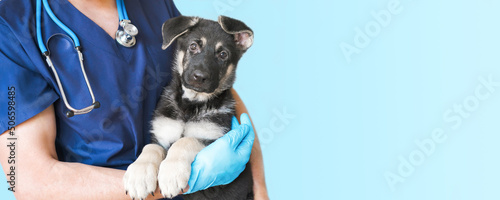 Cropped image of handsome male veterinarian doctor with stethoscope holding cute black german shepherd puppy in arms in veterinary clinic on white background banner photo