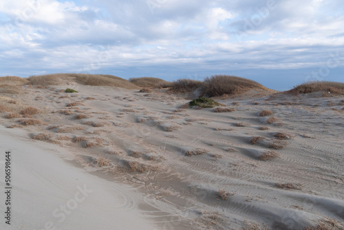 Fototapeta Naklejka Na Ścianę i Meble -  浜岡砂丘　静岡県
