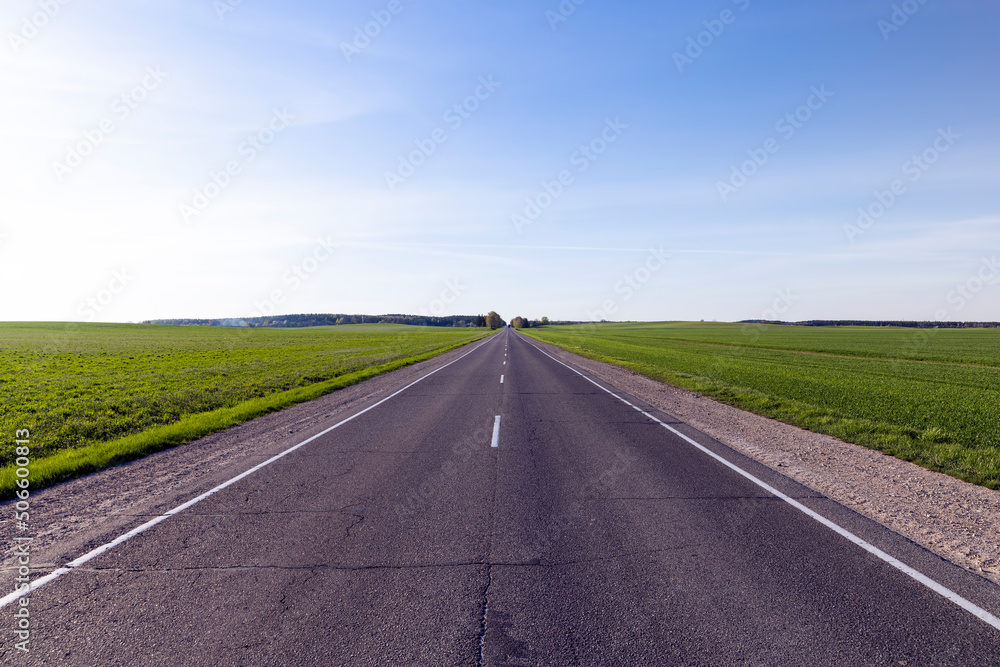 an asphalt road along which green plants an asphalt road along which green plants