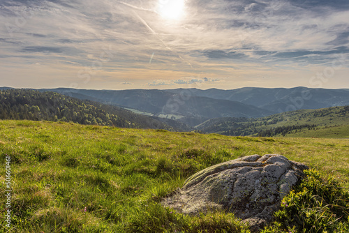 Tableau sur toile vogesen alsace