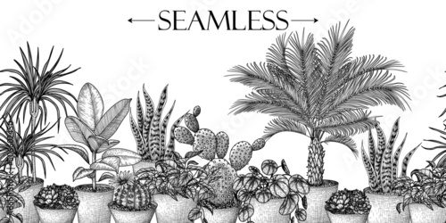 Seamless horizontal pattern of houseplants in engraving style. Graphic linear dracaena, lobivia cactus, sansevieria, ficus, scindapsus, prickly pear cactus, succulents, pilea, indoor palm