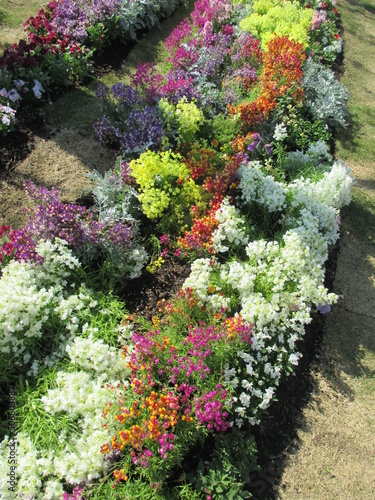 Fototapeta Naklejka Na Ścianę i Meble -  色とりどりのたくさんの花々が美しく咲き誇った春の花壇