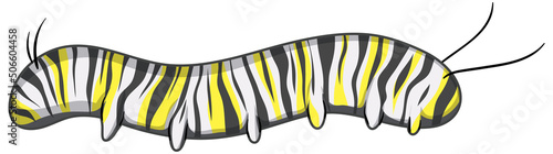 Caterpillar of monarch butterfly