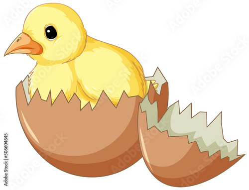 A chick in hatching egg
