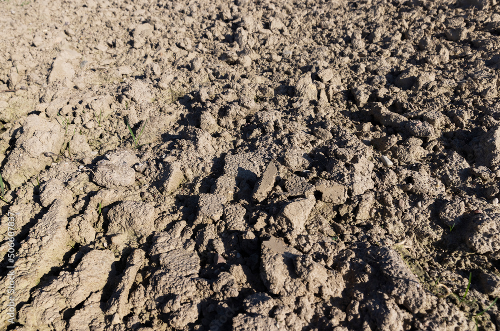 soil in an agricultural field that is being prepared to receive a new crop of plants