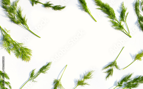 Frame made of fresh green dill on white.