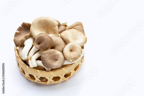 Fresh oyster mushroom in bamboo basket on white background.