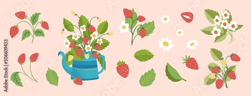 Wild strawberries isolated illustration set. Strawberries. Forest berries. Strawberries flowers and green leaves. Modern hand-drawn vector illustration clip art collection for web, print design