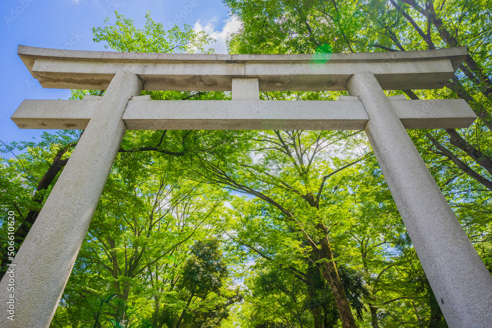 Fototapeta premium 神社 歴史建造物 大國魂神社 神社仏閣