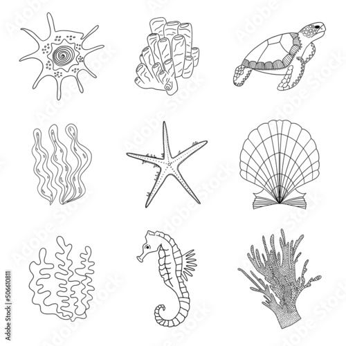 marine inhabitants of the underwater world in black and white for printing, postcards, textiles, stationery, children's education