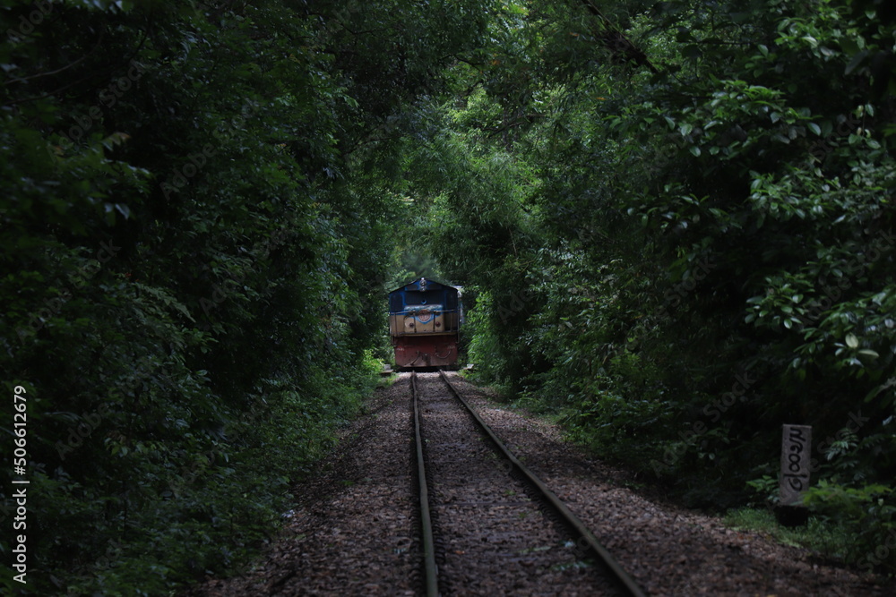 train in the forest, lawachara national park in bangladesh