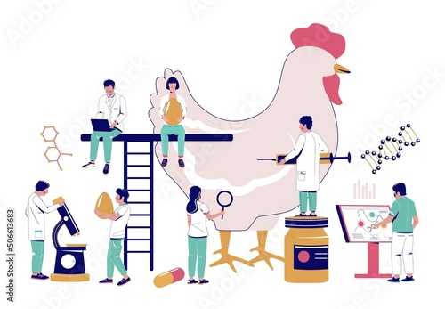 Vet team make chick antibiotic test flat vector