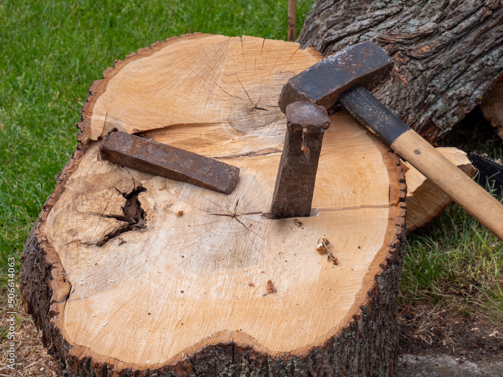 Holz Fällarbeiten mit Spaltkeil und Hammer Stock-Foto | Adobe Stock