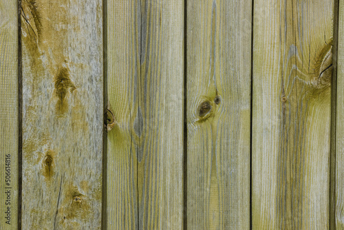 Old wooden fence in spring daytime