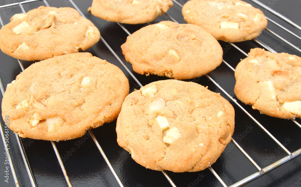 Small stack of macadamia nut and white chocolate cookies. 