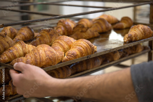 Fresh baked french croissants in a bakery, close up