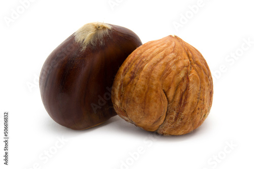 chestnut edible isolated on white background