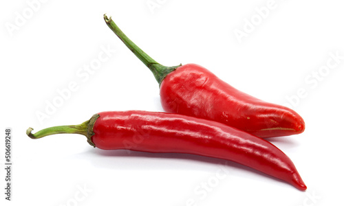 Red spicy chili pepper in a white photo