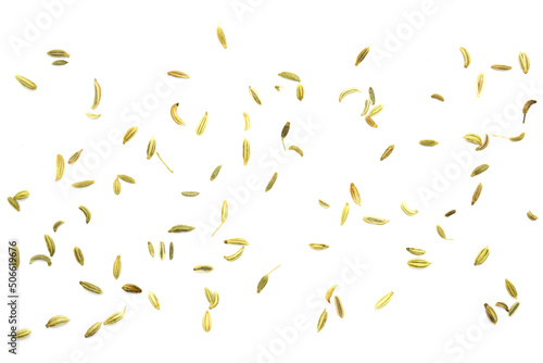 Top view of fennel seeds - texture