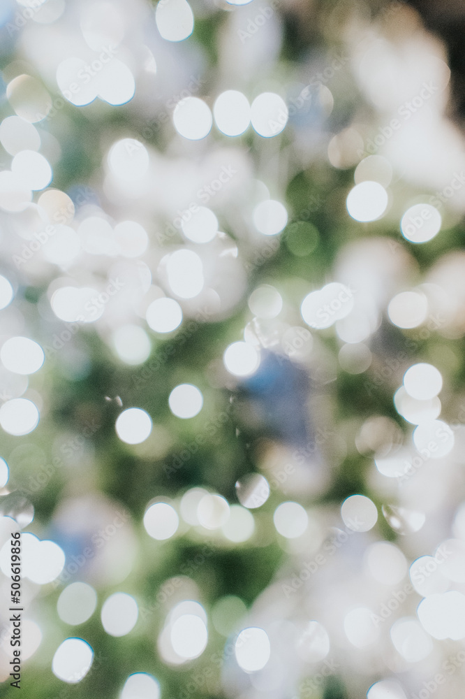 Obraz premium Christmas Bokeh
