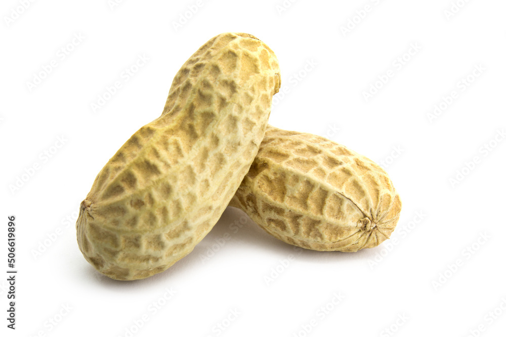 Two peanut shell isolated on white Two peanut shell isolated on white