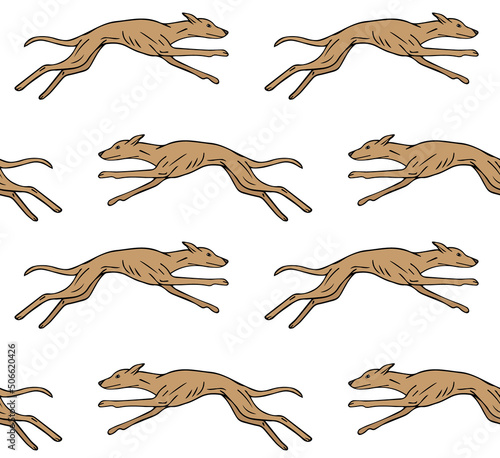 Vector seamless pattern of hand drawn doodle sketch colorful running whippet dog isolated on white background